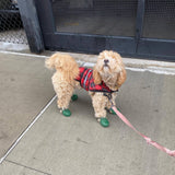 Dog Shoes Silica Gel Dog Socks Anti Slip Waterproof Rubber Dog Boots Outdoor Puppy Accessories Zapatos Perro Pet Items