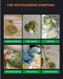 Parrot bird special medicine intestinal diarrhea prevention of enteritis parrot pigeon often spare health care products