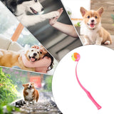 Pet Training Tool Ball Tossing Club Fluorescent Thrower Outdoor With Tennis Training For Medium Cats Dogs Pet Interactive Toys