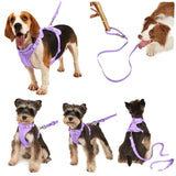 New Four Seasons Pvc Puppy Basic Collar Dog Chest Harness Quick Release Personalized Solid Color Leash Pet Supplies Set