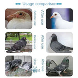 Pigeon nutritional supplements probiotic nutrient solution 100ml parrot water green diarrhea daily health care