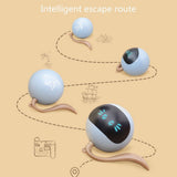 Auto Interactive Dog Ball Toys Electric USB Rechargeable Self Rotating Indoor Teaser Selfplay Exercise Toys for Dog Puppy Pet