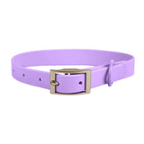 New Four Seasons Pvc Puppy Basic Collar Dog Chest Harness Quick Release Personalized Solid Color Leash Pet Supplies Set
