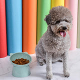 High Foot Dog Bowl Bowl 45°neck Protector Pet Pet Bowl Feeder Bowl Water Anti-overturning Food Feeding Pet Cup Y3a8