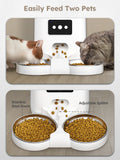 DownyPaws 6L Automatic Pet Feeder Cat Food Dispenser WiFi APP Control For Cats Dogs Pet Dry Food Accesories Stainless Steel Bowl