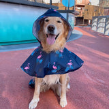 S-4XL New Dog Raincoat Pet Dogs Raincape Clothes For Small Large Dogs Poncho Golden Retriever Rain Coat Waterproof Pet Clothing