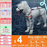 Hoopet Large Dog Raincoat Dog Clothes Transparent Raincoat Light Waterproof Coat Small Dog Raincoat