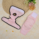 Pet Diaper Pants Dog Physiological Pants Cat Puppy Physiological Underwear Dog Sanitary Shorts Reusable Nappy Clothe Pet Product
