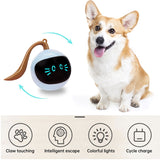 Auto Interactive Dog Ball Toys Electric USB Rechargeable Self Rotating Indoor Teaser Selfplay Exercise Toys for Dog Puppy Pet