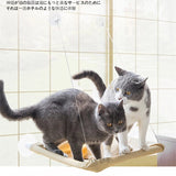 New Pets Cat Hammock Wood Shelf Seat Pet Hanging Bed Cat Beds Sucker Window Mounted Perch Pet Climbing Toys Supports Up To 10kg