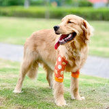Dog Elbow Brace Protector Anti-Lick Wound Soft Breathable Pain Relief Shoulder Support Elbow Sleeves Pads for Canine Elbow