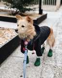 Dog Shoes Silica Gel Dog Socks Anti Slip Waterproof Rubber Dog Boots Outdoor Puppy Accessories Zapatos Perro Pet Items