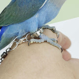 2Pcs Pet Birds Training Leash Rings Clip Parrot Flying Accessory Pigeon Leg Ring Bird Supplies Opening Foot Ring Accessories
