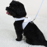 Cat Dog Harness Necklace Leash Collar Pet Items Accessories Kawaii Angel Wing Vest Harness For Dogs Cats Personalized Supplies