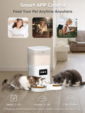 DownyPaws 6L Automatic Pet Feeder Cat Food Dispenser WiFi APP Control For Cats Dogs Pet Dry Food Accesories Stainless Steel Bowl