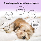 Pet Bath Cleansing Effervescent Tablets Dog Shampoo Clean and Smooth Hair Fragrance to Remove Odor Supplies Products Home Garden