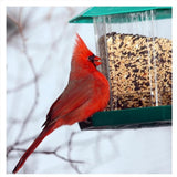 Hanging Wild Bird Feeder Outside Anti Squirrel Bird Feeder For Garden Patio Outdoor Decoration Feedboxes Accessories
