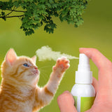 Cat Catnip Spray Healthy Ingredients Catnip Spray For Kittens &amp; Cats &amp; Attractant Easy To Use &amp; Safe For Pets Gifts For Pets