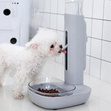 Pet Dog Water Dispenser Not Wet Mouth Automatic Water Dispenser Cats Dogs Water Dispenser Mobile Vertical Kettle Pet Supplies