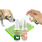 30ml Pet Dog Spray Inducer Dog Props Inducer Dogs Cat Puppy Pad Doggy Pee Training Toilet for Puppy Pet Supplies Wholesale Price