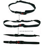 [TAILUP] Dogs Leash Running Elasticity Hand Freely Pet Products Dogs Harness Collar Jogging Lead and Adjustable Waist Rope CL153