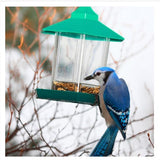 Hanging Wild Bird Feeder Outside Anti Squirrel Bird Feeder For Garden Patio Outdoor Decoration Feedboxes Accessories