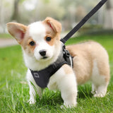 Pet Supporting Belt Elastic Comfortable Non-Fall Adjustable Reusable Assisted Walking Easy-Wearing Elastic Pet Leg Supporting Be