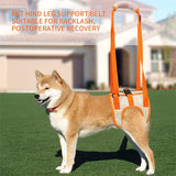 Adjustable Dog Sling Back Legs Hip Support Pet Accessories for Canine Aid and Ligament Rehabilitation Dog Lift Harness