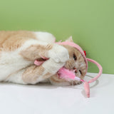 Cat Toys Cat Interactive Toys Kitten Fishing Headdres Hat Feathers Bait Fishing Head Covers Tease Pet Supplies Cat Accessories