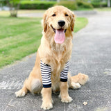 Dog Elbow Brace Protector Anti-Lick Wound Soft Breathable Pain Relief Shoulder Support Elbow Sleeves Pads for Canine Elbow