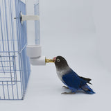 Plastic Parrot Drinker Water Bottle Dispenser Feeder Hanging Pet Dog Guinea Pig Squirrel Rabbit Drinking Head Pipe Fountain
