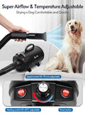 2800W Power Hair Dryer For Dogs Pet Dog Cat Grooming Blower Warm Wind Secador Fast Blow-dryer For Small Medium Large Dog Dryer