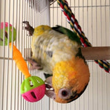 2pcs Parrot double headed bell toy