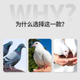 Conditioning liquid pigeon medicine supplement vitamin breeding pigeon health care male pigeon special conditioning liquid