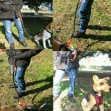[TAILUP] Dogs Leash Running Elasticity Hand Freely Pet Products Dogs Harness Collar Jogging Lead and Adjustable Waist Rope CL153