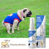Pet Toilet Training Spray Inducer Dog Props Dog Potty Inducer Training Tool For Outdoor Puppy Pet Supplies 60ml