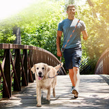 2.6M Hands Free Dog Slip Leash for Running Multifunctional Dog Training Leads Nylon Double Leash for Puppy Small &amp; Large Dogs