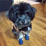 Dog Shoes Silica Gel Dog Socks Anti Slip Waterproof Rubber Dog Boots Outdoor Puppy Accessories Zapatos Perro Pet Items