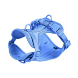 New Four Seasons Pvc Puppy Basic Collar Dog Chest Harness Quick Release Personalized Solid Color Leash Pet Supplies Set