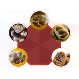 Pet Paw Care Creams Ointment Paw Care Cream Moisturizing Protection Forefoot Toe Health Pet Products For Puppy Dog Cat