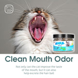 100 % Natural Catnip Toys Interactive Organic Premium Canned Catnip Funny Cat Muti-function for Adult Cats Healthy Pet Supplies