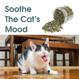 100 % Natural Catnip Toys Interactive Organic Premium Canned Catnip Funny Cat Muti-function for Adult Cats Healthy Pet Supplies