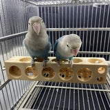 Bird Toys Foraging Toy Natural Wood Block Parrot Chewing Toy for Small and Medium Size Birds Improve Health Kill Boredom Y5GB