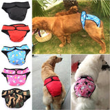 Dog Physiological Pants Diaper Menstrual Pants Washable Female Dog Panties Anti-harassment Safety Pants for Dogs Puppy Diaper