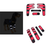 Pet Knee Pads Support Brace for Leg Hock Joint Wrap Breathable Injury Cover Legs Dog Protector Support Protect Bandage Supplies