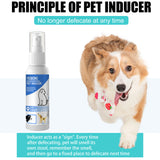 Pet Toilet Training Spray Inducer Dog Props Dog Potty Inducer Training Tool For Outdoor Puppy Pet Supplies 60ml