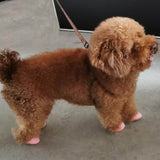 4Pc/Set Waterproof Paw Protector Balloon Rubber Rain Boots Cat Socks Footwear Anti Slip Pet Dog Shoes Puppy Chihuahua Botas Buty