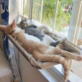New Pets Cat Hammock Wood Shelf Seat Pet Hanging Bed Cat Beds Sucker Window Mounted Perch Pet Climbing Toys Supports Up To 10kg