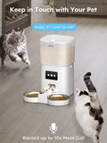 DownyPaws 6L Automatic Pet Feeder Cat Food Dispenser WiFi APP Control For Cats Dogs Pet Dry Food Accesories Stainless Steel Bowl