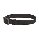 New Four Seasons Pvc Puppy Basic Collar Dog Chest Harness Quick Release Personalized Solid Color Leash Pet Supplies Set
